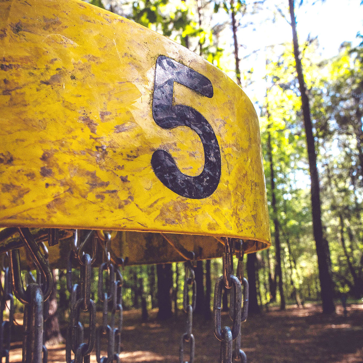 What's On Iron Pit Woods Adventure Corby