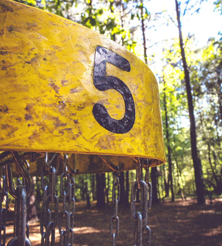 Disc Golf Basket